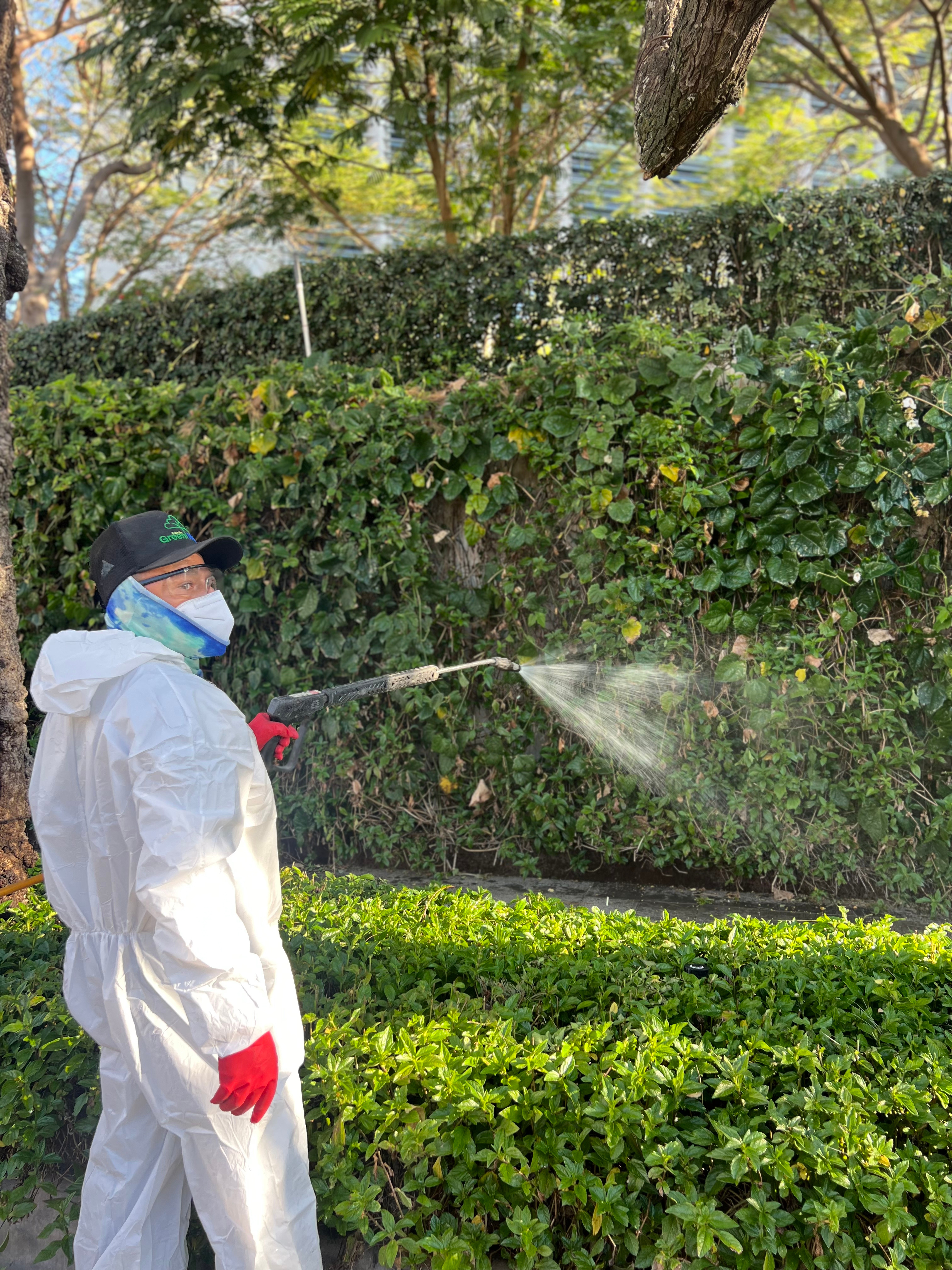 Fumigación después